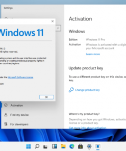Key Windows 11 Pro Giá Rẻ